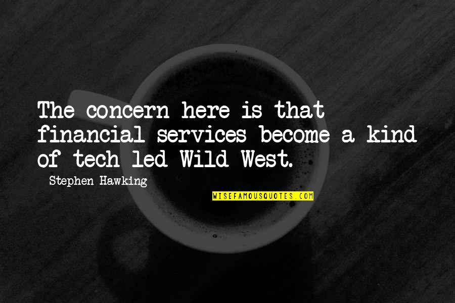 The Wild West Quotes By Stephen Hawking: The concern here is that financial services become