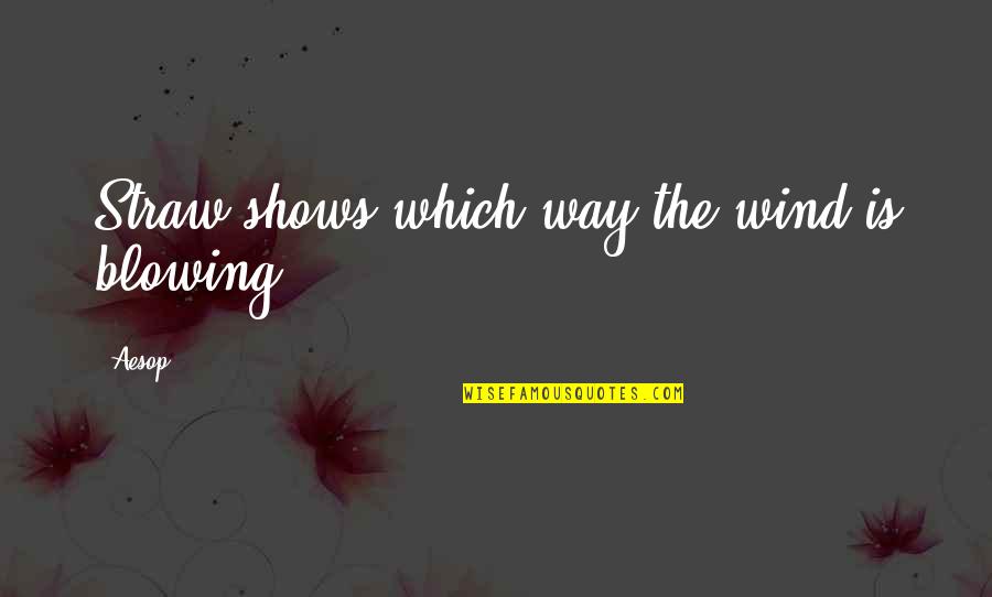 The Wind Blowing Quotes By Aesop: Straw shows which way the wind is blowing.