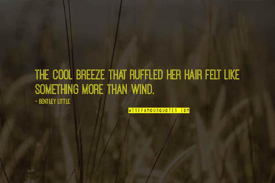 The Wind In My Hair Quotes By Bentley Little: The cool breeze that ruffled her hair felt