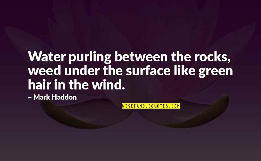 The Wind In My Hair Quotes By Mark Haddon: Water purling between the rocks, weed under the