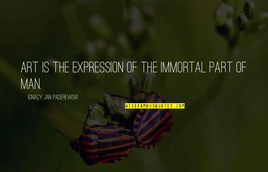 The Windmill Animal Farm Quotes By Ignacy Jan Paderewski: Art is the expression of the immortal part