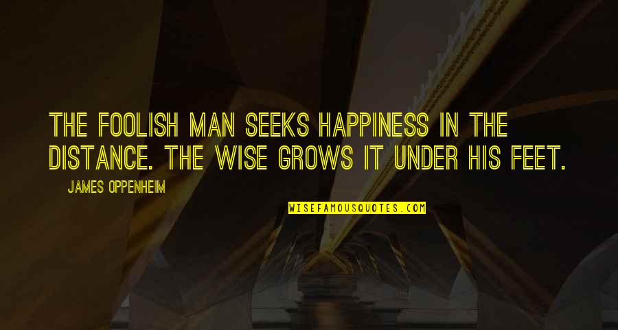 The Wise And Foolish Quotes By James Oppenheim: The foolish man seeks happiness in the distance.