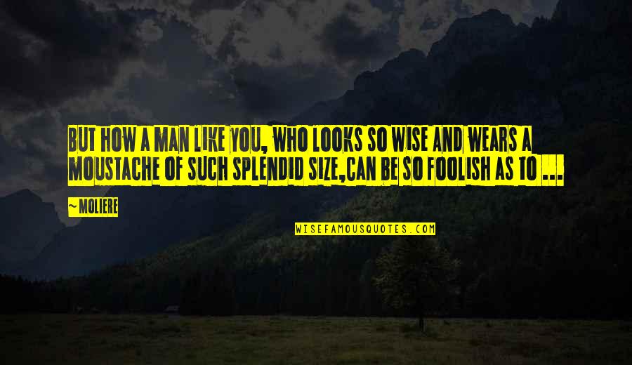 The Wise And Foolish Quotes By Moliere: But how a man like you, who looks