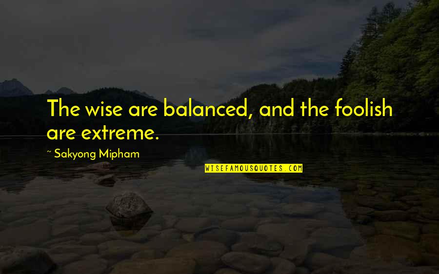 The Wise And Foolish Quotes By Sakyong Mipham: The wise are balanced, and the foolish are