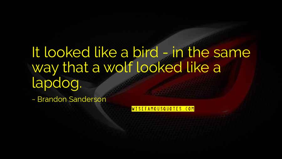 The Wolf Quotes By Brandon Sanderson: It looked like a bird - in the