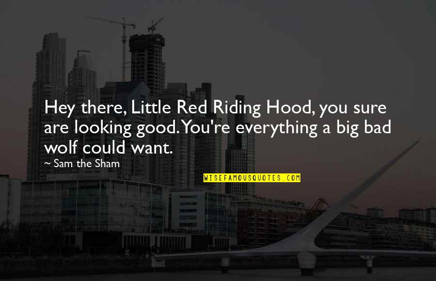 The Wolf Quotes By Sam The Sham: Hey there, Little Red Riding Hood, you sure