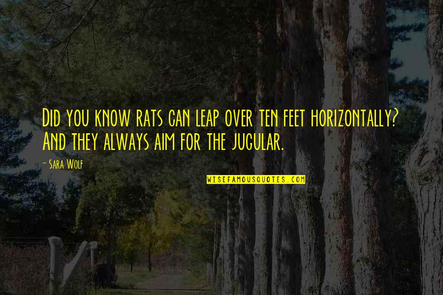 The Wolf Quotes By Sara Wolf: Did you know rats can leap over ten