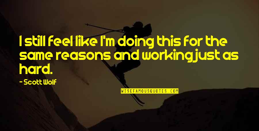 The Wolf Quotes By Scott Wolf: I still feel like I'm doing this for