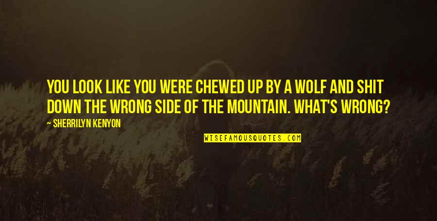 The Wolf Quotes By Sherrilyn Kenyon: You look like you were chewed up by