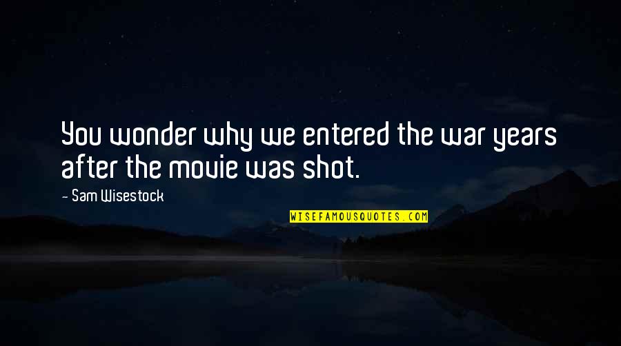 The Wonder Years Quotes By Sam Wisestock: You wonder why we entered the war years
