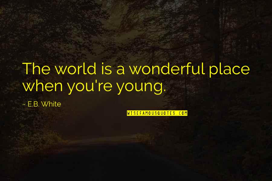 The Wonderful World Quotes By E.B. White: The world is a wonderful place when you're