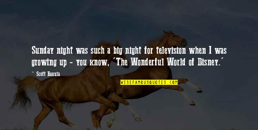 The Wonderful World Quotes By Scott Bakula: Sunday night was such a big night for