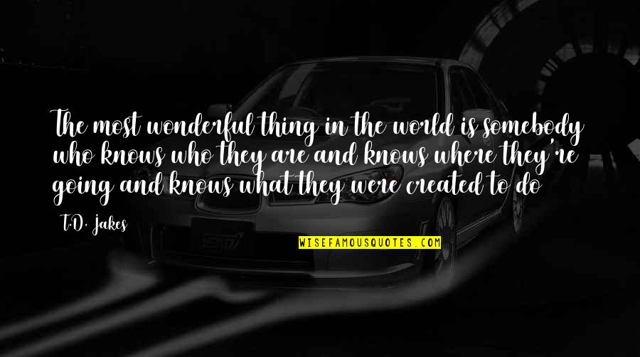 The Wonderful World Quotes By T.D. Jakes: The most wonderful thing in the world is
