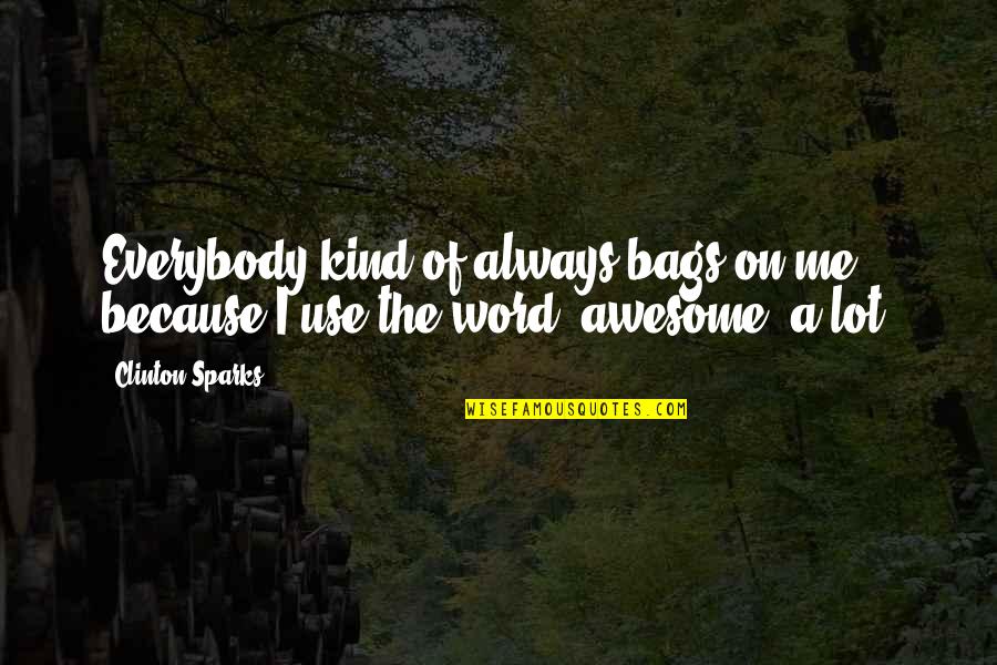 The Word Awesome Quotes By Clinton Sparks: Everybody kind of always bags on me because