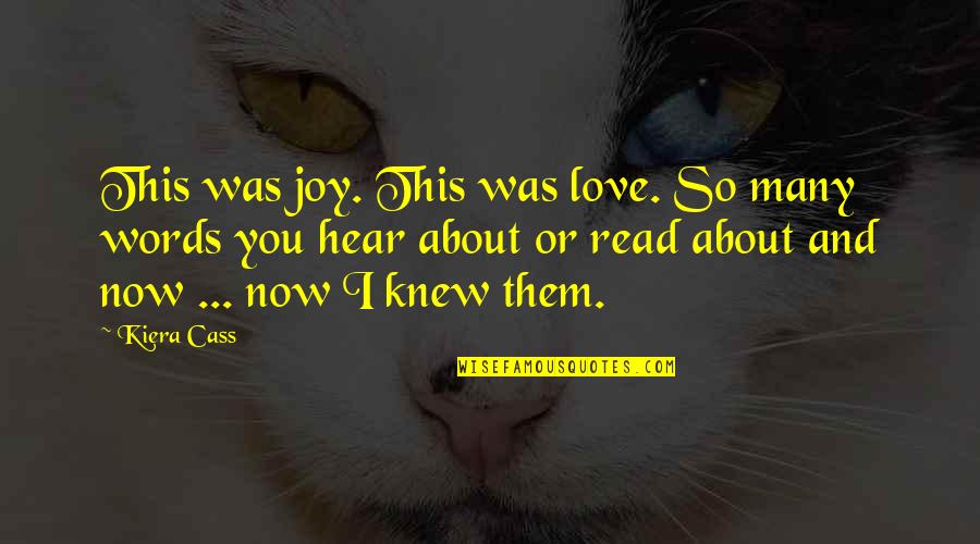 The Words I Love You Quotes By Kiera Cass: This was joy. This was love. So many