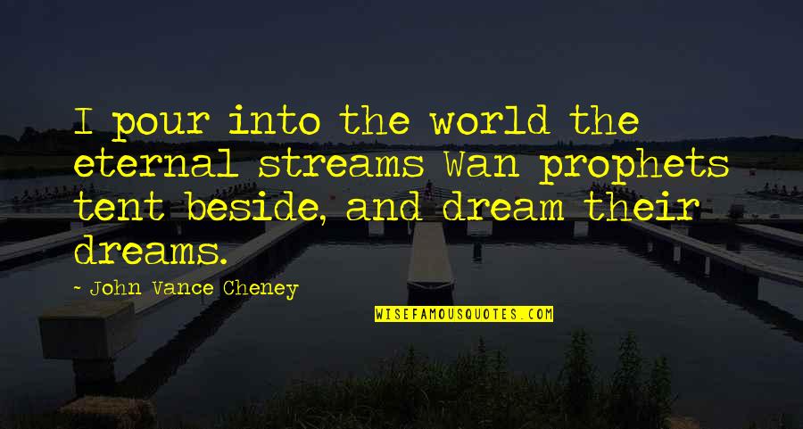 The World And Beauty Quotes By John Vance Cheney: I pour into the world the eternal streams