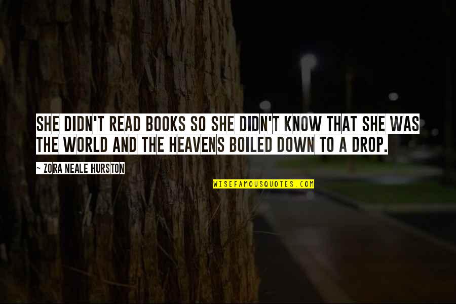 The World And Books Quotes By Zora Neale Hurston: She didn't read books so she didn't know