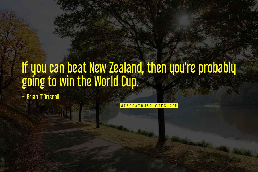 The World Cup Quotes By Brian O'Driscoll: If you can beat New Zealand, then you're