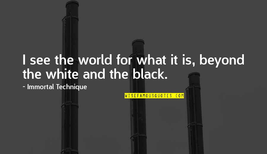 The World In Black And White Quotes By Immortal Technique: I see the world for what it is,
