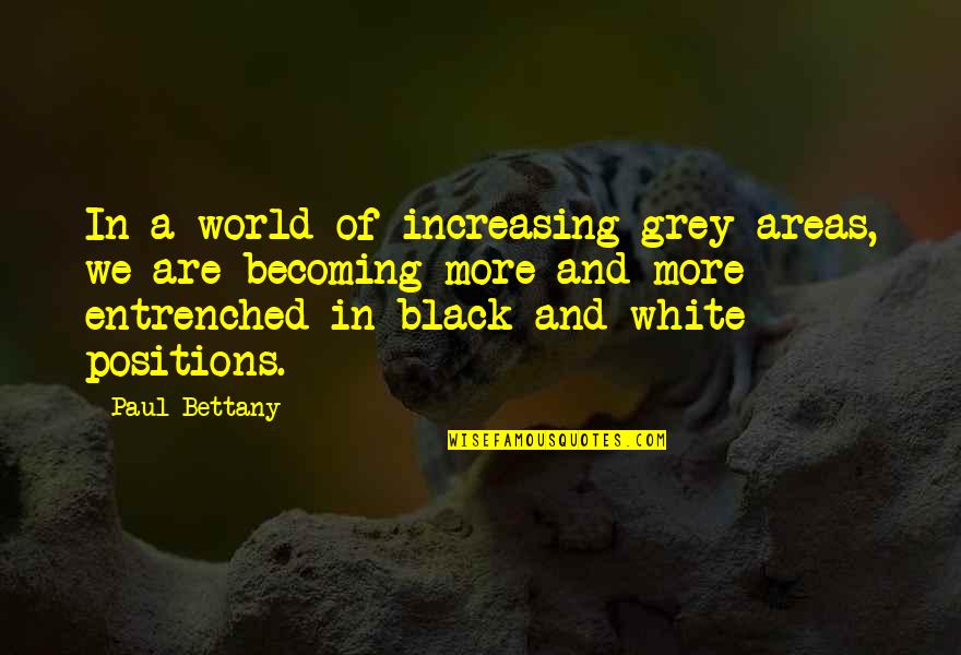 The World In Black And White Quotes By Paul Bettany: In a world of increasing grey areas, we