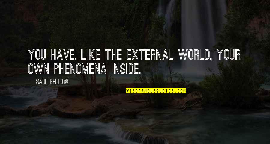 The World Inside You Quotes By Saul Bellow: You have, like the external world, your own