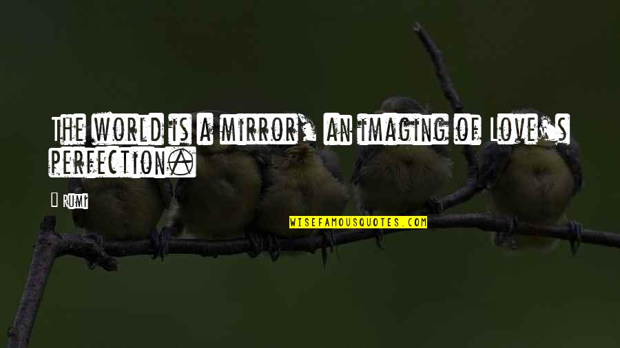 The World Is A Mirror Quotes By Rumi: The world is a mirror, an imaging of