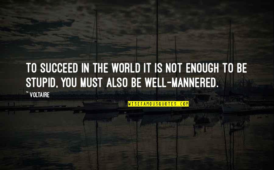 The World Is Not Enough Quotes By Voltaire: To succeed in the world it is not