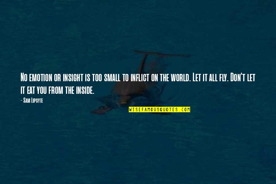 The World Is Too Small Quotes By Sam Lipsyte: No emotion or insight is too small to