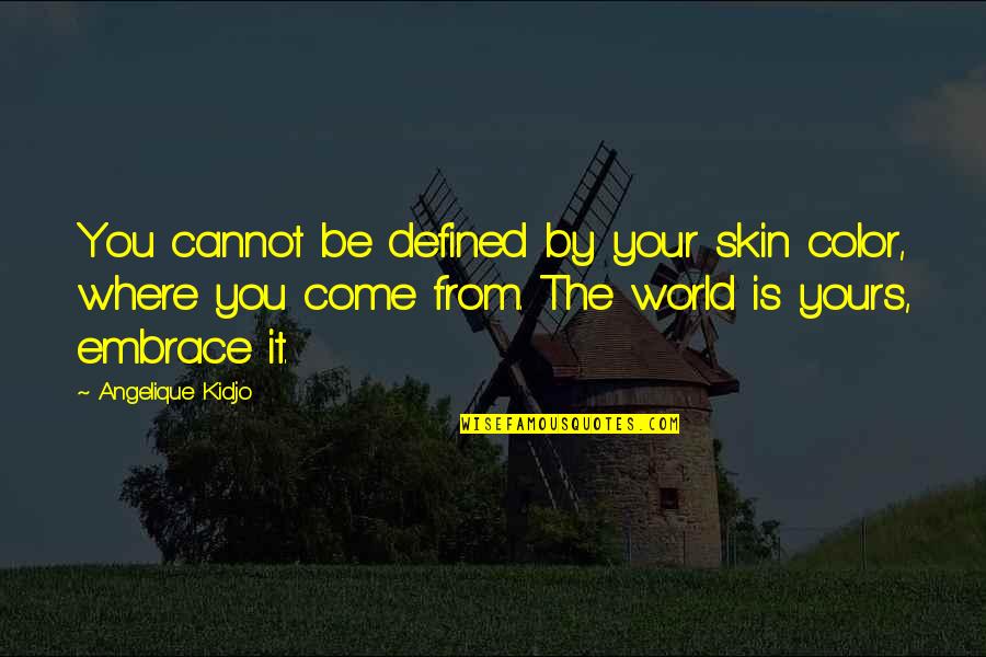 The World You Come From Quotes By Angelique Kidjo: You cannot be defined by your skin color,