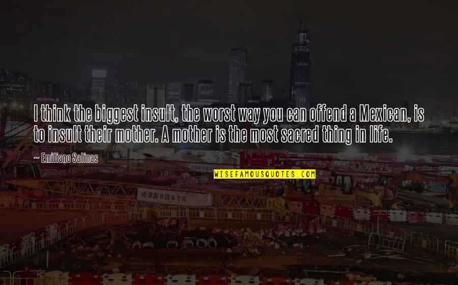 The Worst Life Quotes By Emiliano Salinas: I think the biggest insult, the worst way