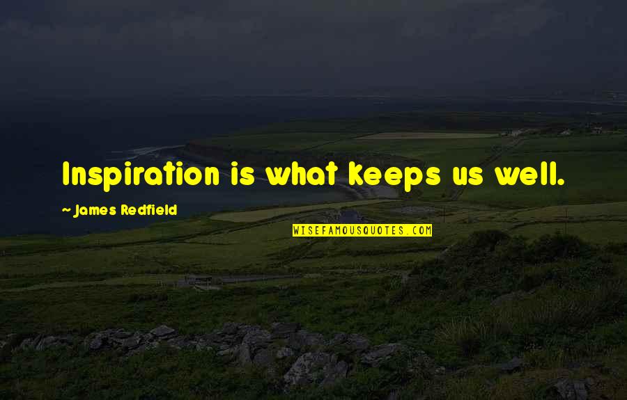 The Worst Thing About Loving Someone Quotes By James Redfield: Inspiration is what keeps us well.