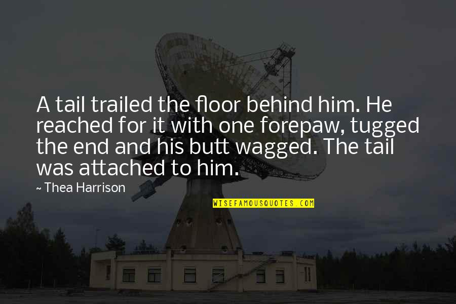 Thea Harrison Quotes By Thea Harrison: A tail trailed the floor behind him. He