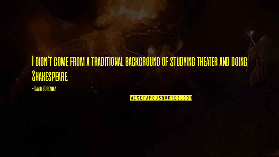 Theater Shakespeare Quotes By David Boreanaz: I didn't come from a traditional background of