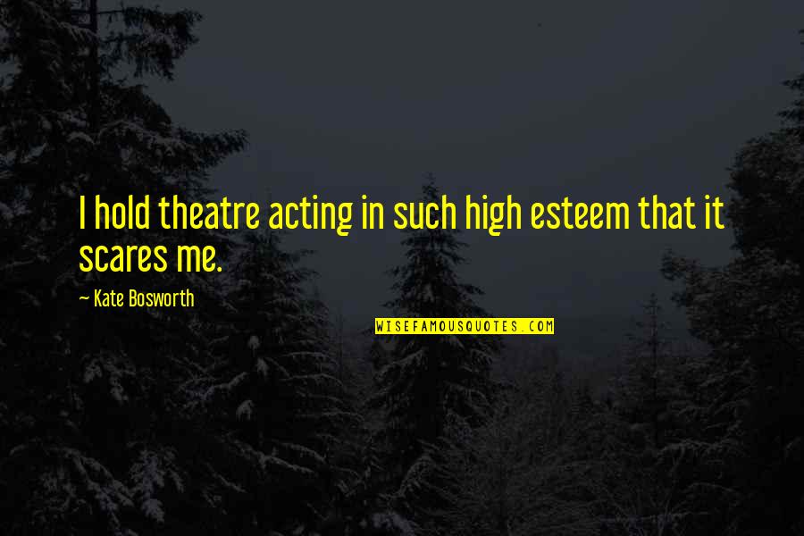 Theatre And Acting Quotes By Kate Bosworth: I hold theatre acting in such high esteem