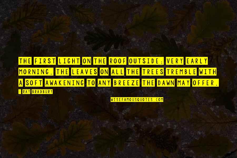Theesfeld Father Quotes By Ray Bradbury: The first light on the roof outside; very