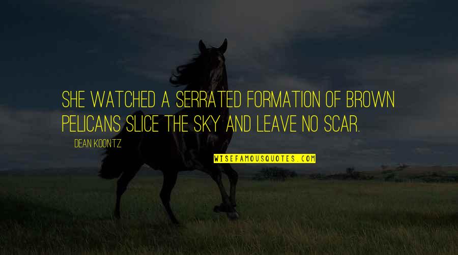 Theistic Quotes By Dean Koontz: She watched a serrated formation of brown pelicans