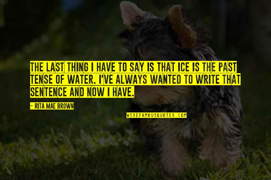 Theistic Quotes By Rita Mae Brown: The last thing I have to say is