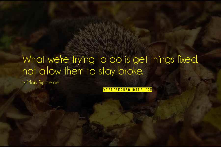 Them Stay Quotes By Mark Rippetoe: What we're trying to do is get things