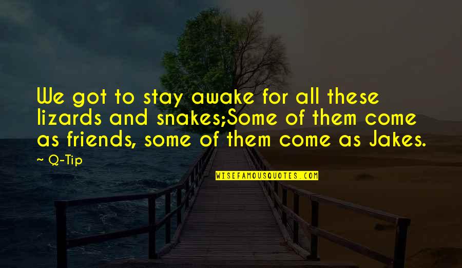 Them Stay Quotes By Q-Tip: We got to stay awake for all these Them Stay Quotes By Q-Tip: We got to stay awake for all these