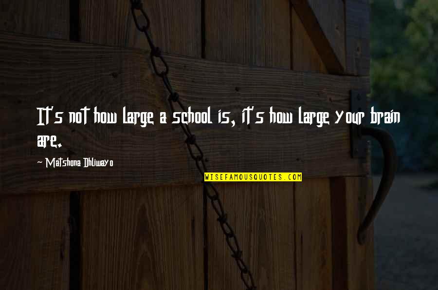 Themba Ntuli Quotes By Matshona Dhliwayo: It's not how large a school is, it's Themba Ntuli Quotes By Matshona Dhliwayo: It's not how large a school is, it's