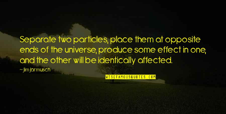 Themby Kobus Quotes By Jim Jarmusch: Separate two particles, place them at opposite ends Themby Kobus Quotes By Jim Jarmusch: Separate two particles, place them at opposite ends