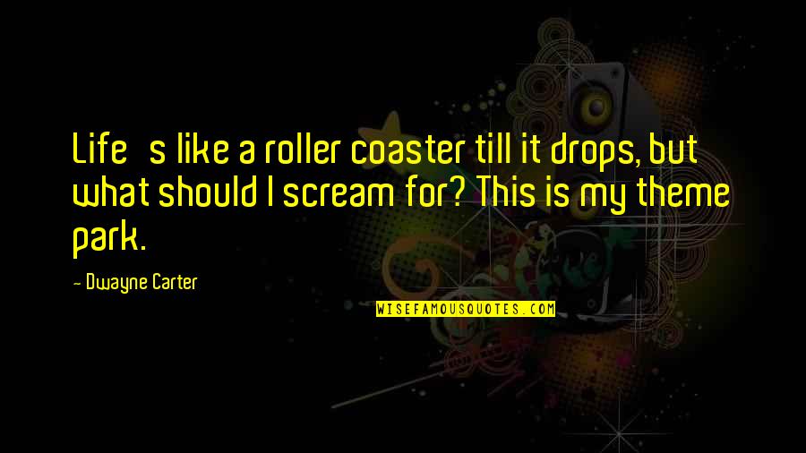 Theme Park Quotes By Dwayne Carter: Life's like a roller coaster till it drops,