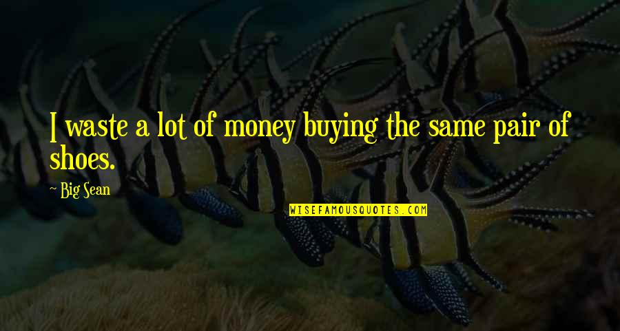 Themis Quote Quotes By Big Sean: I waste a lot of money buying the