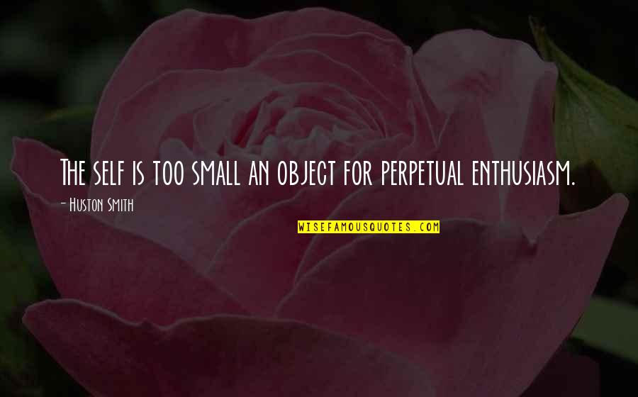 Themselve Quotes By Huston Smith: The self is too small an object for