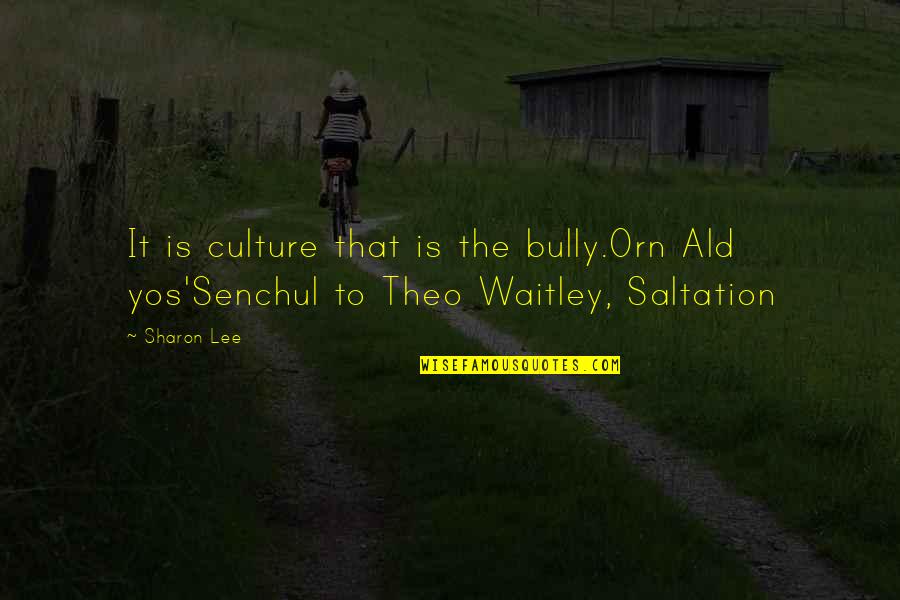 Theo Quotes By Sharon Lee: It is culture that is the bully.Orn Ald
