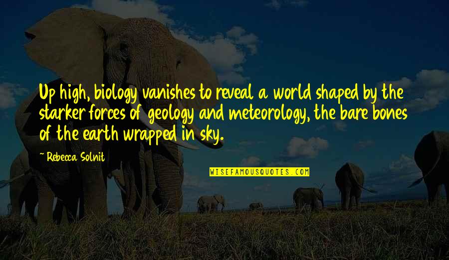 Theocharis Bros Quotes By Rebecca Solnit: Up high, biology vanishes to reveal a world Theocharis Bros Quotes By Rebecca Solnit: Up high, biology vanishes to reveal a world