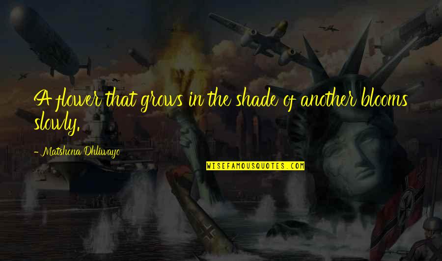 Theodism Quotes By Matshona Dhliwayo: A flower that grows in the shade of Theodism Quotes By Matshona Dhliwayo: A flower that grows in the shade of