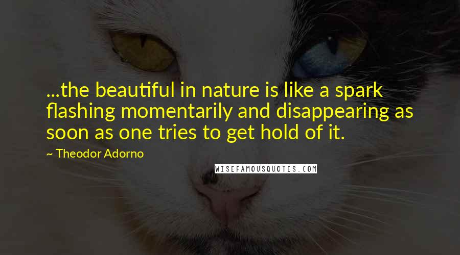 Theodor Adorno quotes: ...the beautiful in nature is like a spark flashing momentarily and disappearing as soon as one tries to get hold of it.