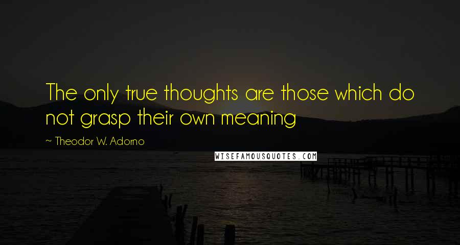 Theodor W. Adorno quotes: The only true thoughts are those which do not grasp their own meaning