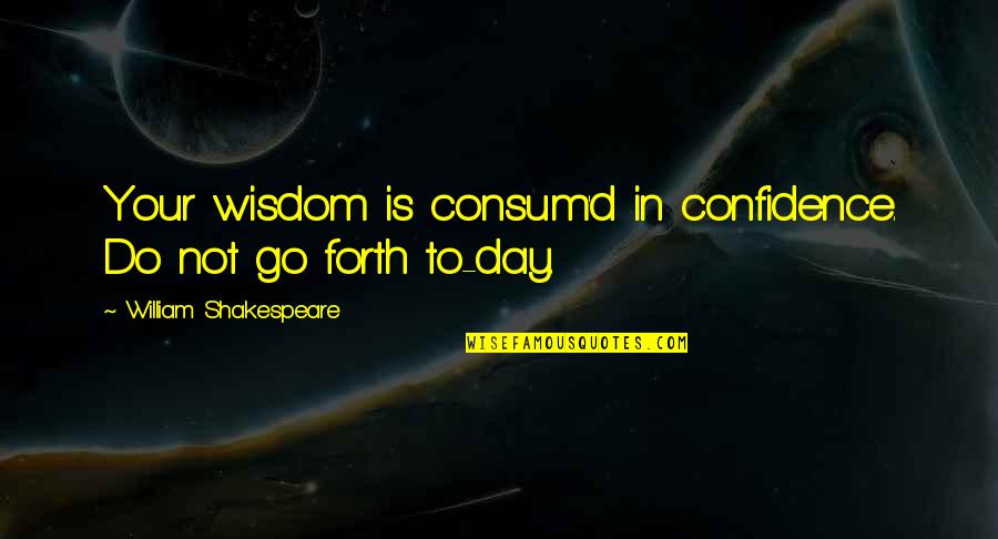 Theodore Dreiser Genius Quotes By William Shakespeare: Your wisdom is consum'd in confidence. Do not